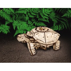 "Turtle" wooden constructor...